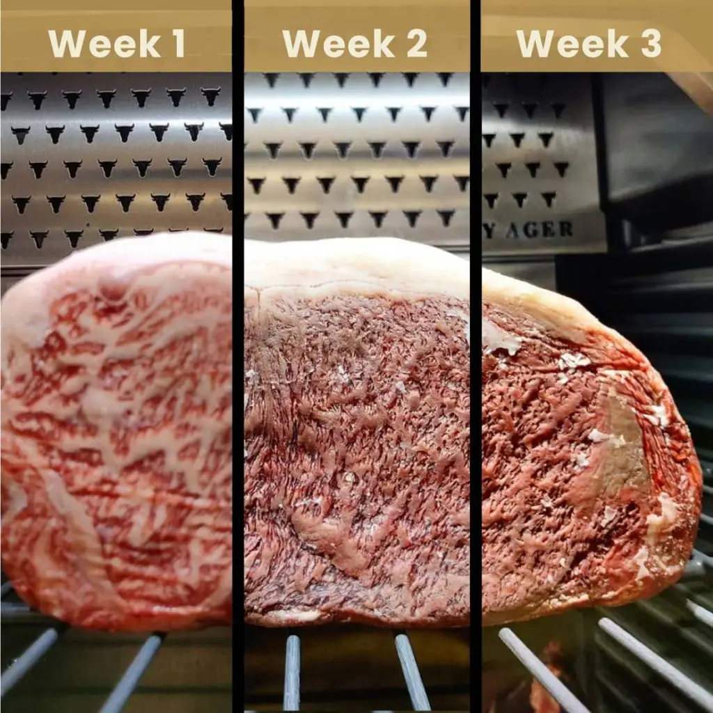 dry aged beef
